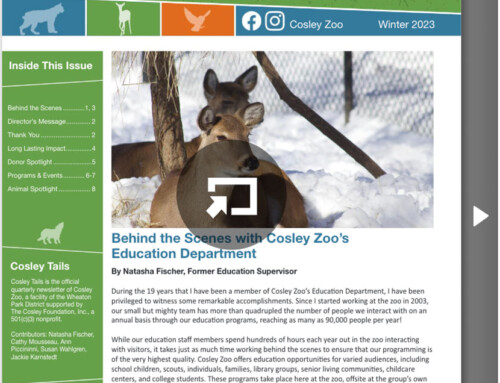 Winter 2023 Cosley Tails Newsletter