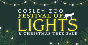 FOL logo FINAL 2024 Festival of Lights and Christmas Tree Sale logo