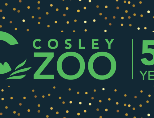 2024: Cosley Zoo Celebrates 50 Years