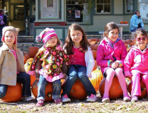 Pumpkin Fest returns to Cosley Zoo Oct. 1-31