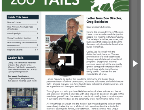 Summer 2025 Cosley Tails