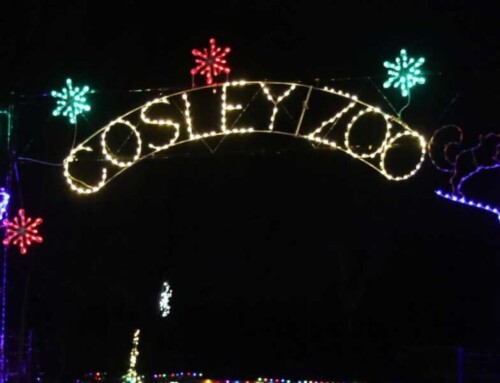 11/28-12/30: Festival of Lights & Tree Sale