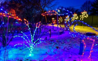 Various holiday lights and displays on a snowy lawn