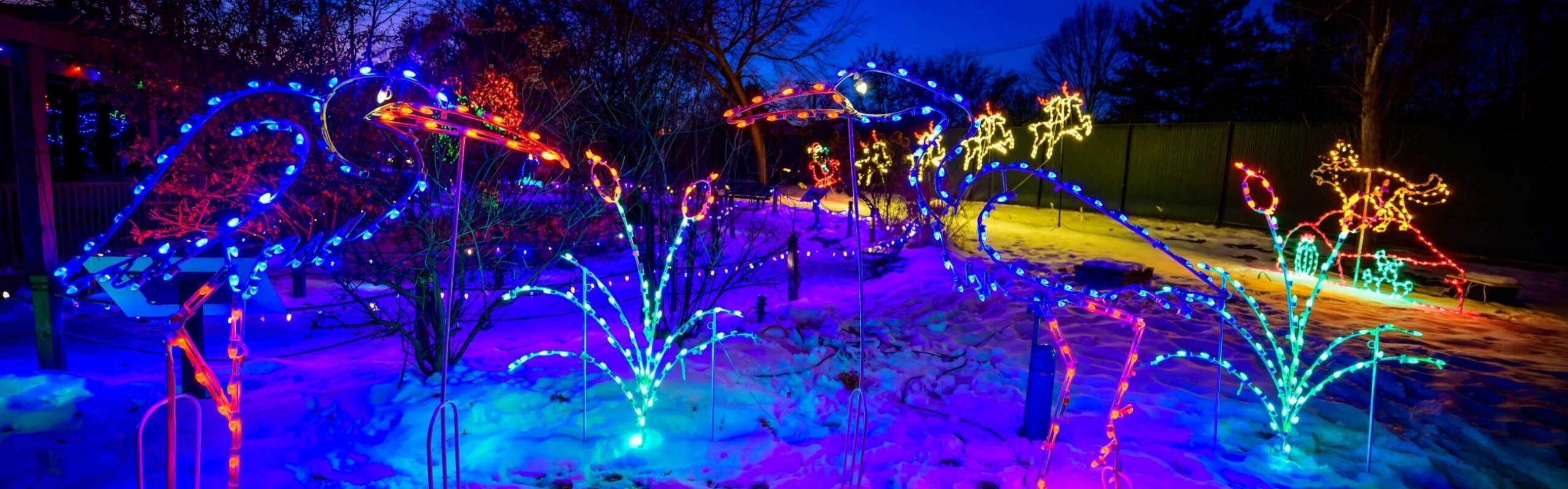 Various holiday lights and displays on a snowy lawn