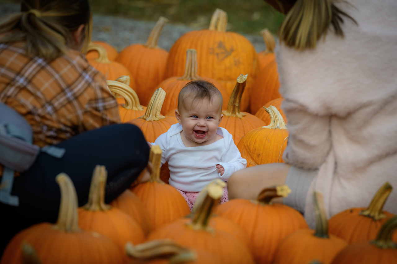 A toddler sitting between pumpkins
