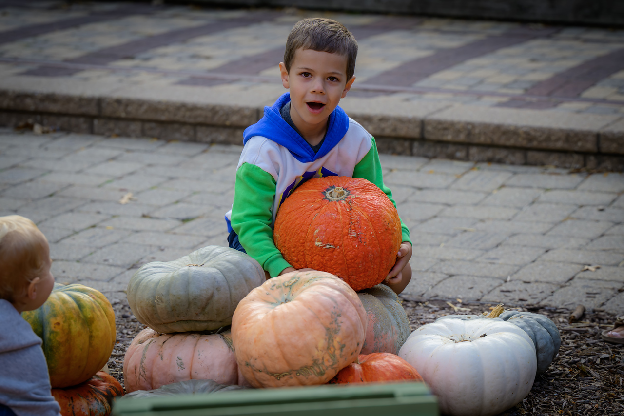 A boy holding a big pumpkin