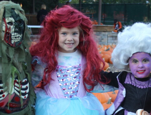 10/17: Cosley Zoo Spooktacular