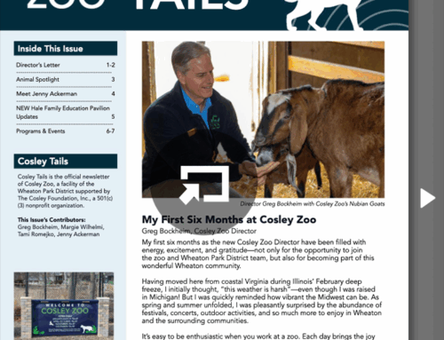 Fall/Winter 2025 Cosley Tails