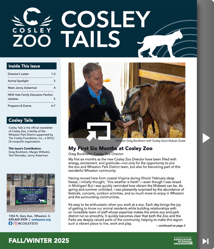 Cosley Tails Fall/Winter 2025 Cover