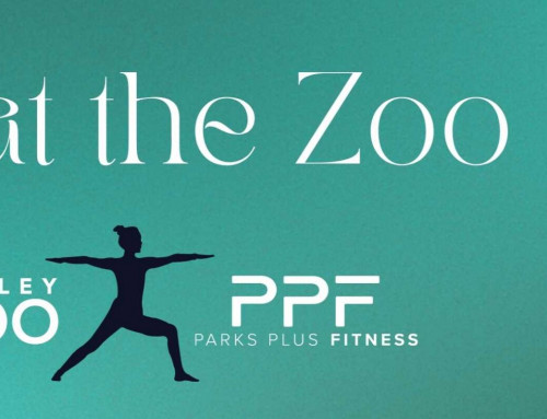 6/2: Yoga at the Zoo