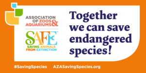 AZA_SAFE_880x440