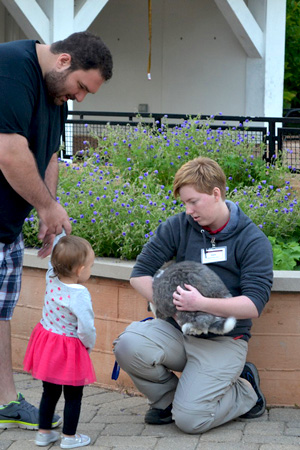 Animal-Care-Intern