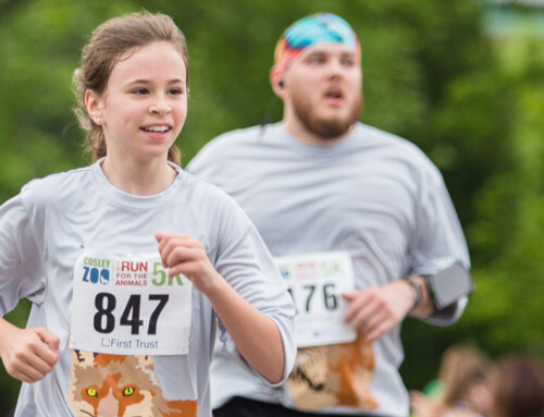 6/4: Run for the Animals – Race Results