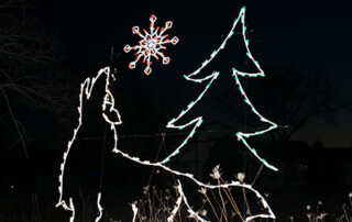 Festival of Lights at Cosley Zoo