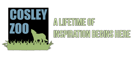 Cosley Zoo Logo