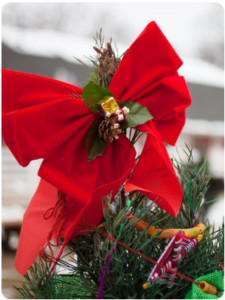 ChristmasTreeLane