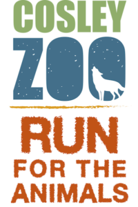 Run for the Animals copy