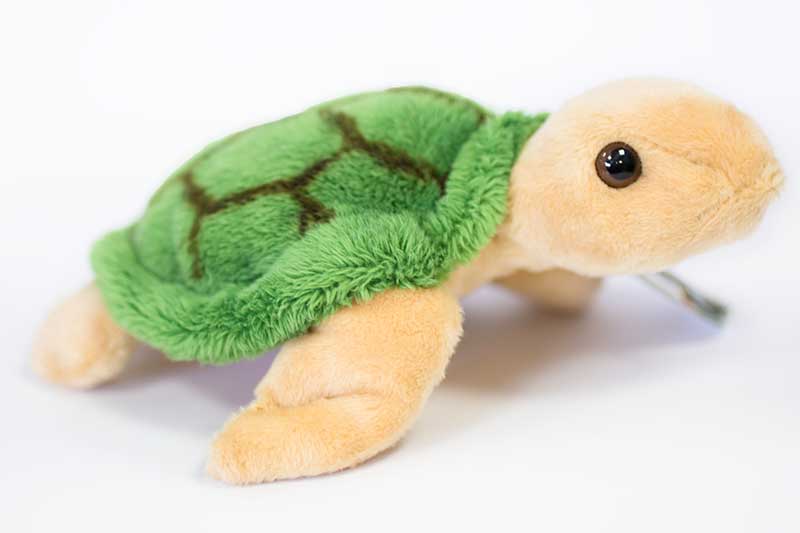 Turtle plush