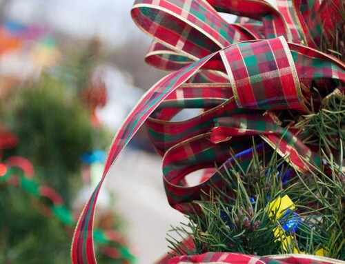 Christmas Tree Lane