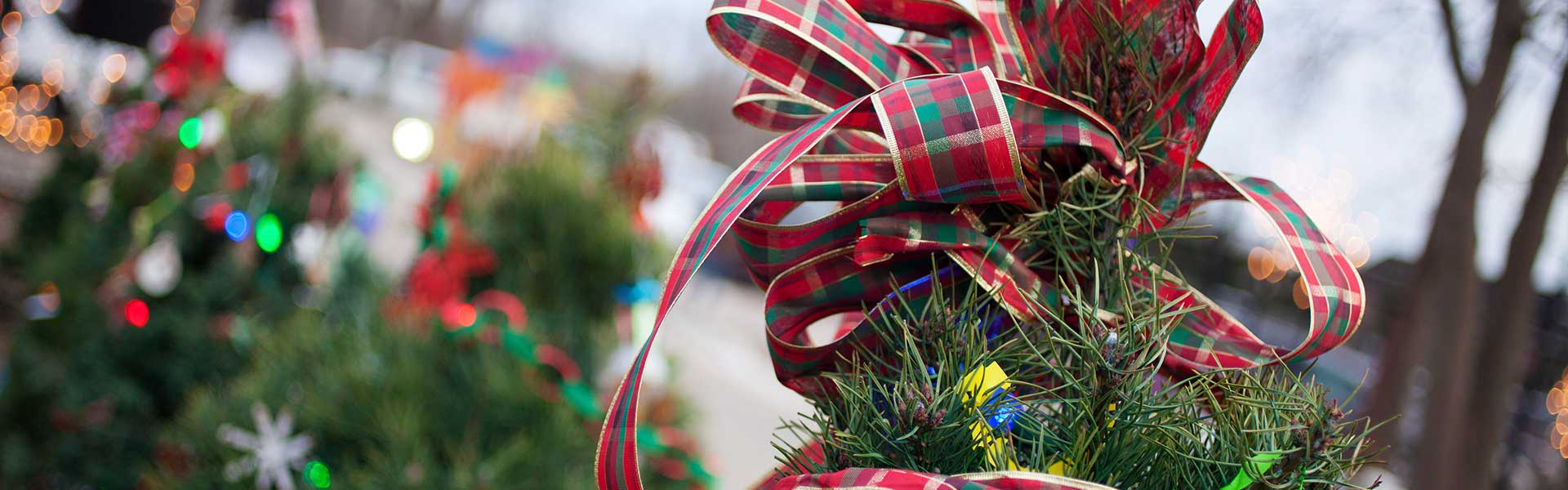 christmas-tree-cosley2