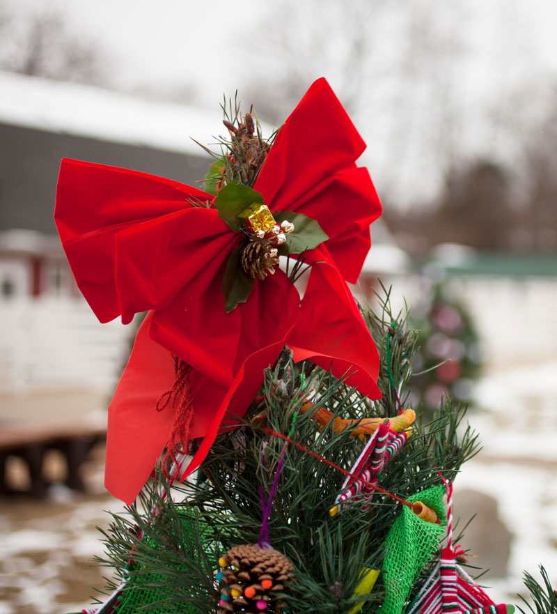 christmas-tree-cosley4