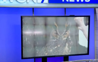 WGN News - Weekend Break checks out holiday fun at the Cosley Zoo