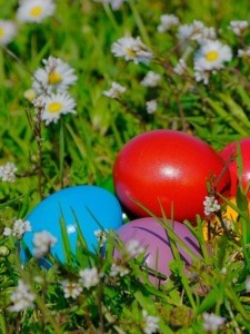 easter-4102076_640 easter eggs in grass