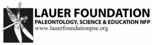 Lauer Foundation Lauer Foundation