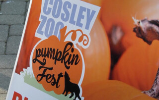 39th Annual Pumpkin Fest at Cosley Zoo NV News 17