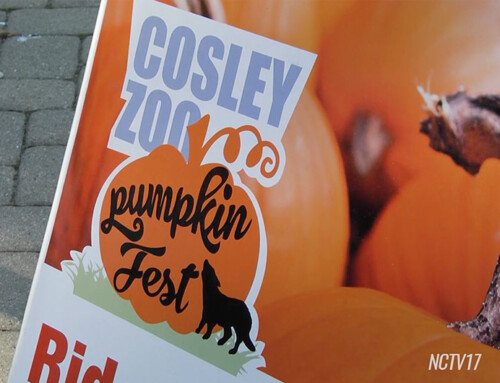 NCTV17: 39th Annual Pumpkin Fest at Cosley Zoo