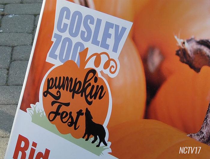 39th Annual Pumpkin Fest at Cosley Zoo NV News 17