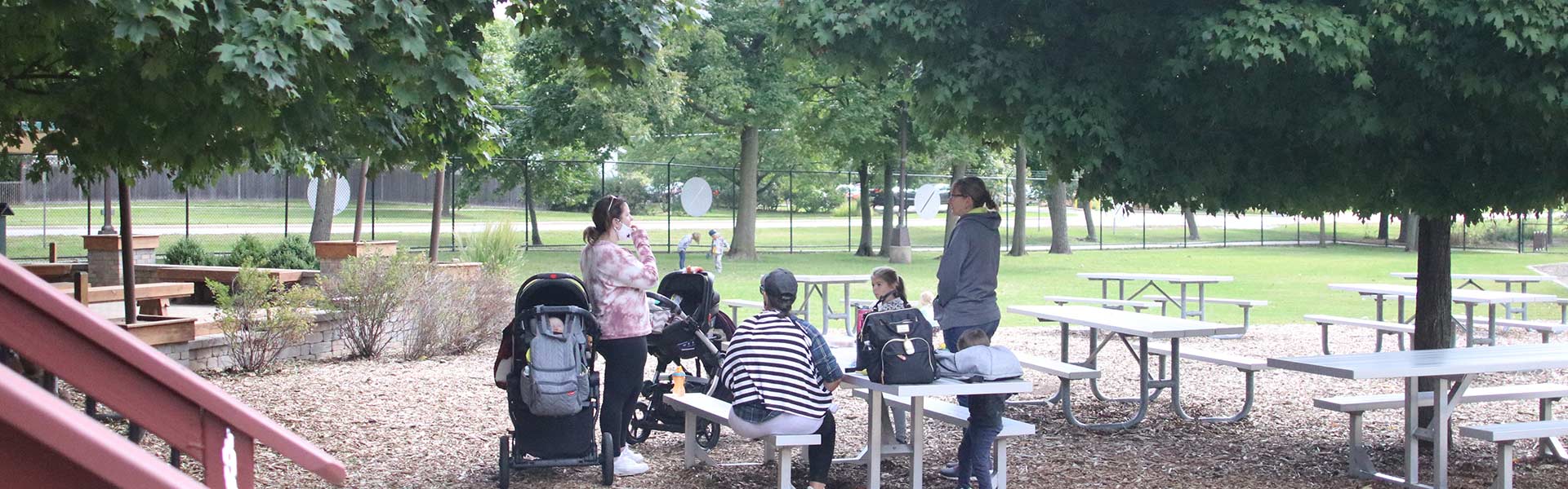 picnic-with-animals