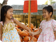 pumpkin fest