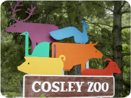A colorful collection of animals welcomes your arrival to Cosley Zoo.